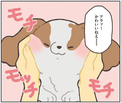 モチモチモッチ