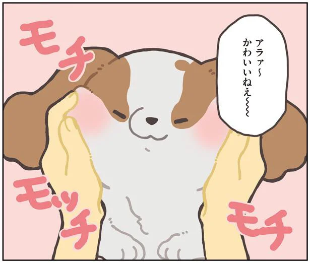 モチモチモッチ