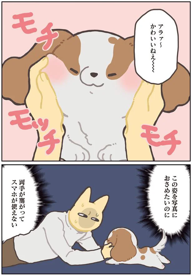 写真におさめたいのに