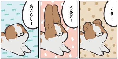 くま！うさぎ！あざらし！