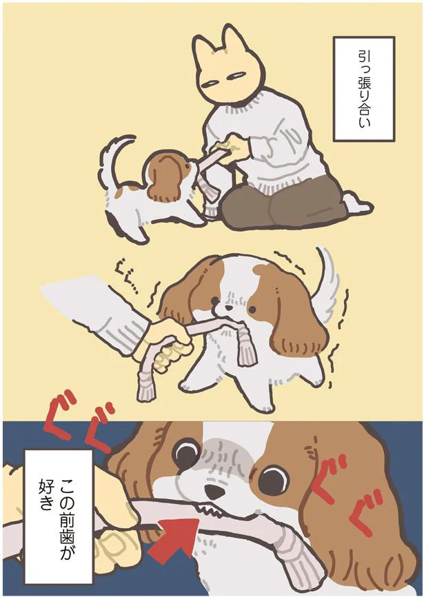 この前歯が好き