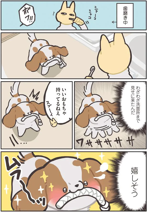 いいおもちゃ持ってるねぇ