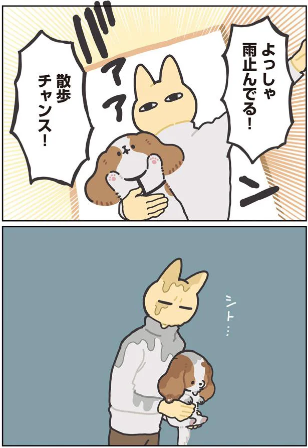 散歩チャンス！
