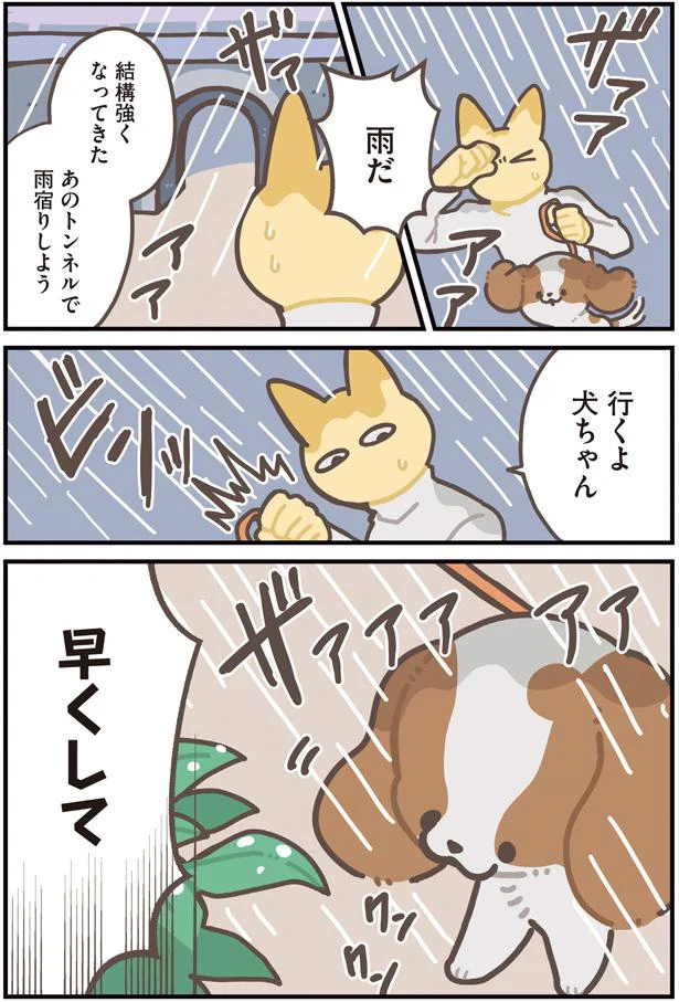 早くして
