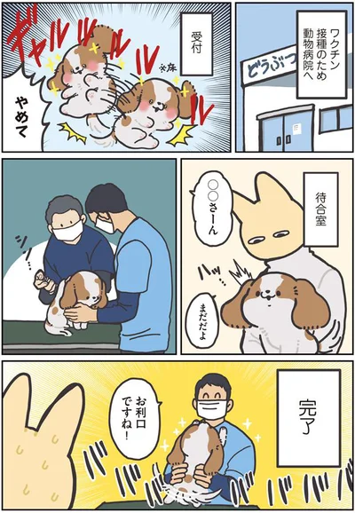 お利口ですね！