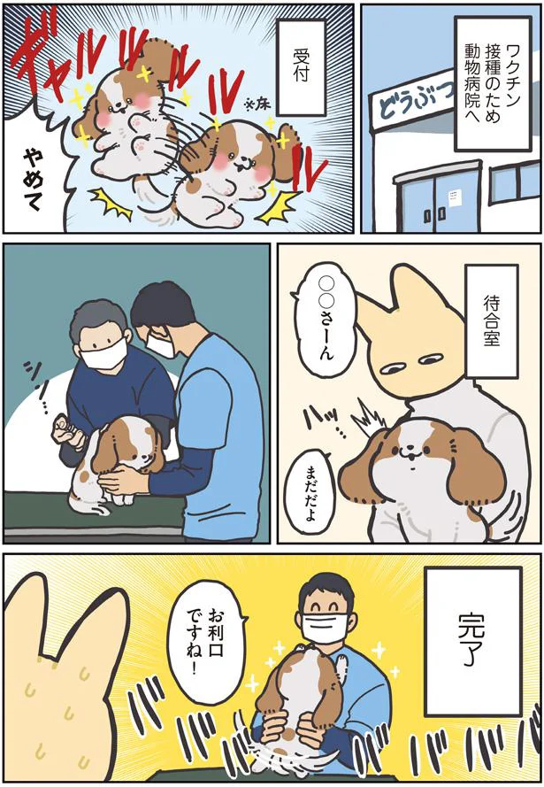 お利口ですね！