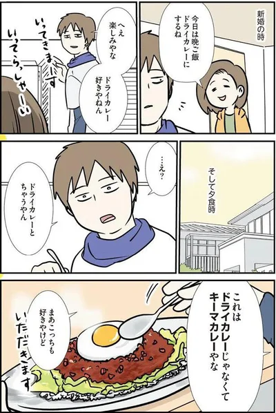 …え？ドライカレーとちゃうやん