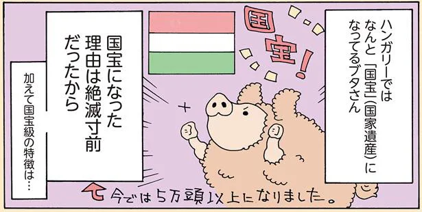 「国宝」になってるブタさん