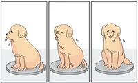 なんかめちゃくちゃ良い。「犬がゆっくり回転する漫画」描いてみた／犬のかがやき日記（4）