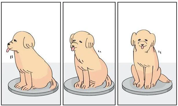 なんかめちゃくちゃ良い。「犬がゆっくり回転する漫画」描いてみた／犬のかがやき日記（4）