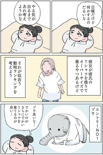 ゾウ