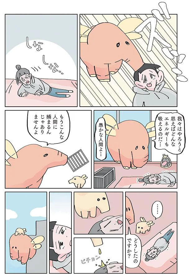 もうこんな人間に捕まるんじゃありませんよ