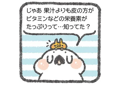 果汁よりも皮の方が栄養素がたっぷり