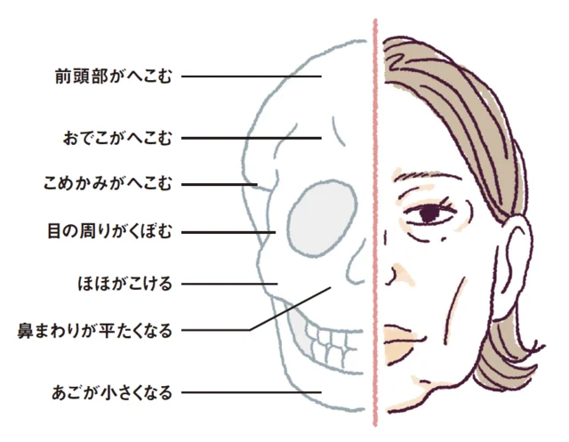 たるみもシワも骨の減少のせい！？ 知ってびっくり「骨の新常識」  