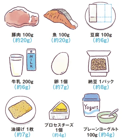 食材によって、とれるたんぱく質の量は異なる。イラストの青字が、とれるたんぱく質の量。