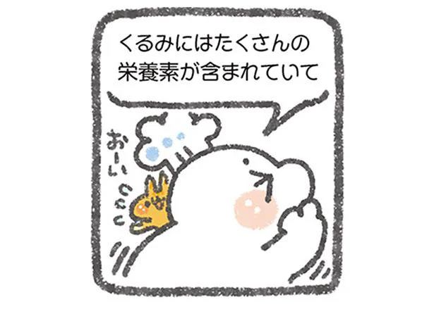 くるみにはたくさんの栄養素が含まれている