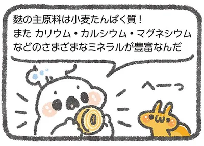 麩の主原料は小麦たんぱく質！