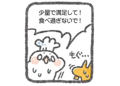 食べ過ぎないで！