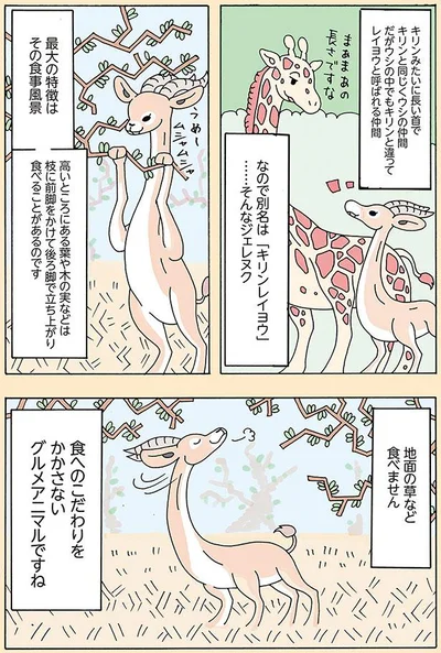 最大の特徴はその食事風景