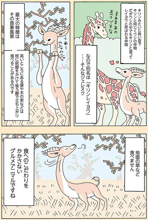 最大の特徴はその食事風景
