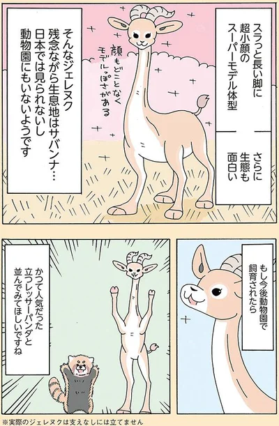 スラッと長い脚に超小顔のスーパーモデル体型