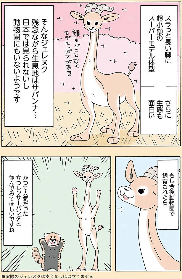 スラッと長い脚に超小顔のスーパーモデル体型