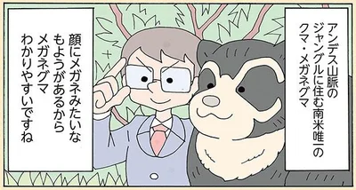 顔にメガネみたいなもようがあるからメガネグマ