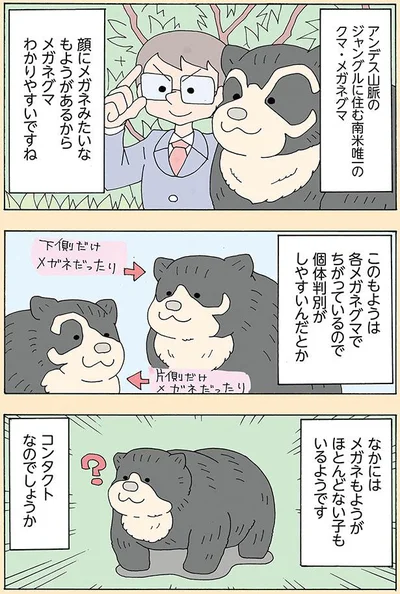 メガネもようがほとんどない子もいるようです