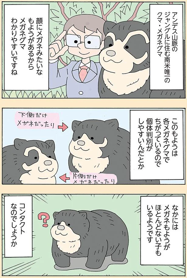 メガネもようがほとんどない子もいるようです