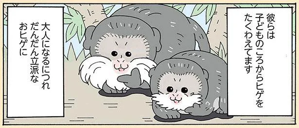子どものころからヒゲをたくわえています