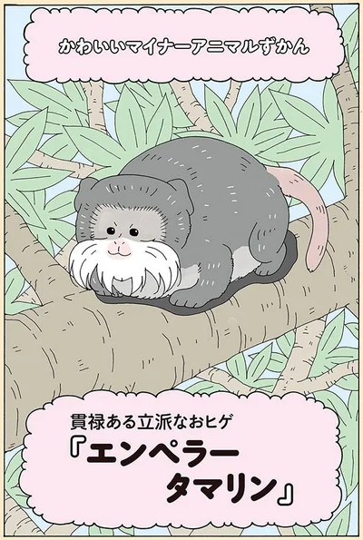 エンペラータマリン