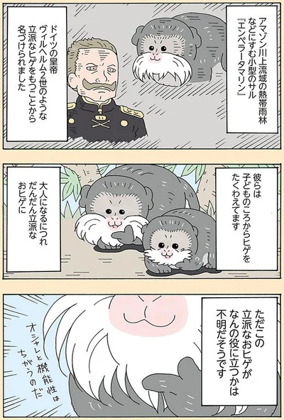 立派なヒゲをもつことから名づけられました