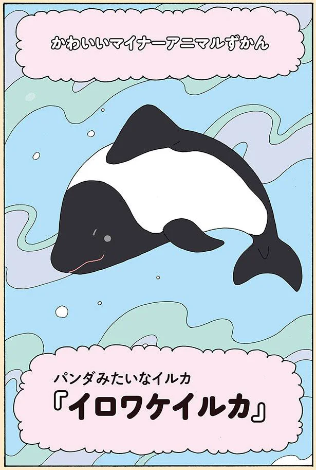 イロワケイルカ