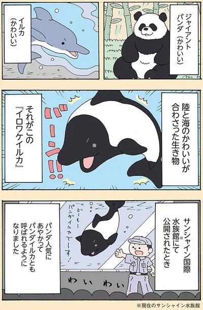 陸と海のかわいいが合わさった生き物