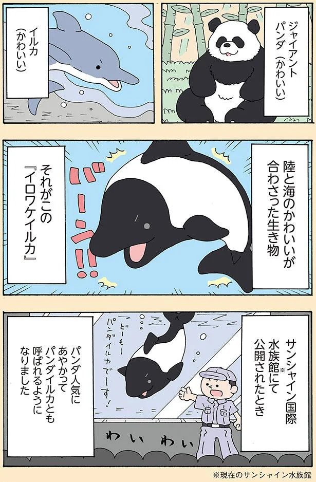 陸と海のかわいいが合わさった生き物