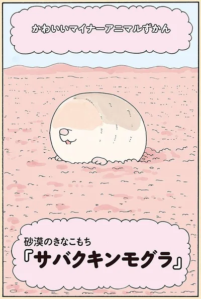 サバクキンモグラ