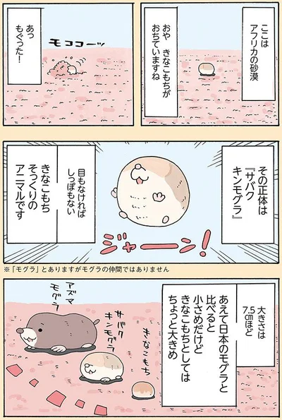 きなこもちそっくりのアニマルです