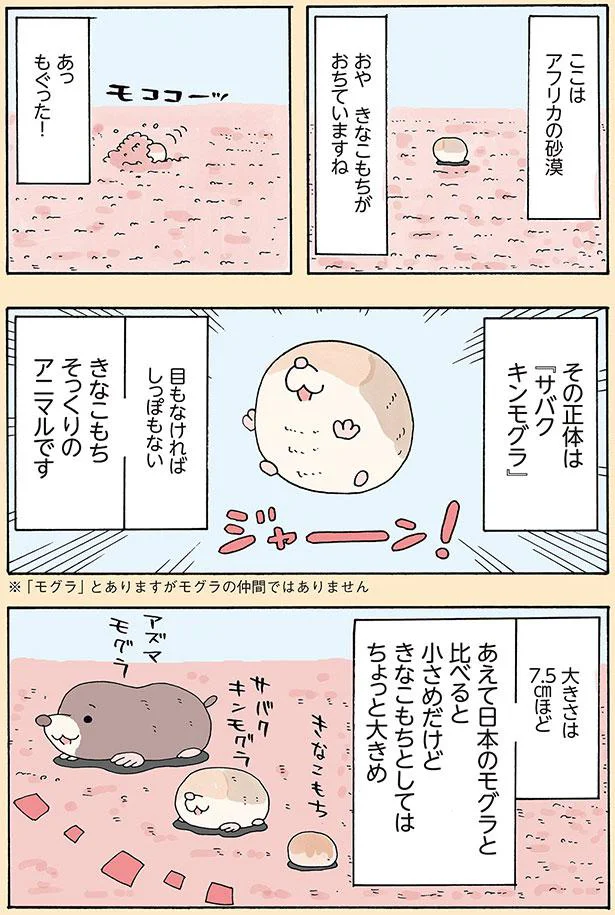 きなこもちそっくりのアニマルです
