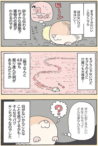 目はないけど耳はいい！