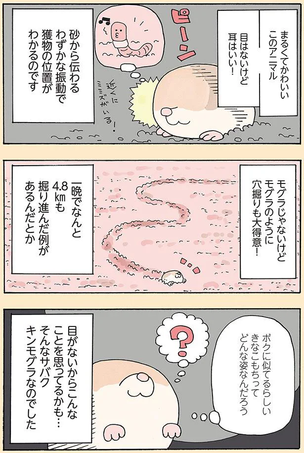 目はないけど耳はいい！