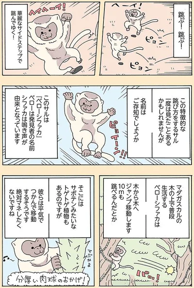 名前はご存知でしょうか