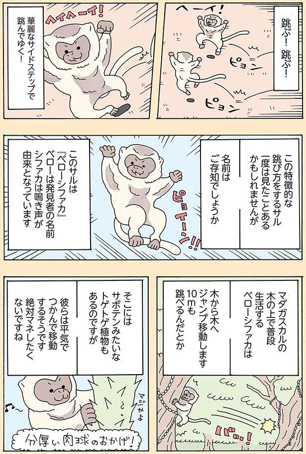 名前はご存知でしょうか