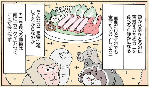 カニを食べる動物は頭に「カニクイ」とつくことが多いです