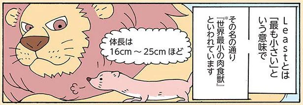 『世界最小の肉食獣』といわれています