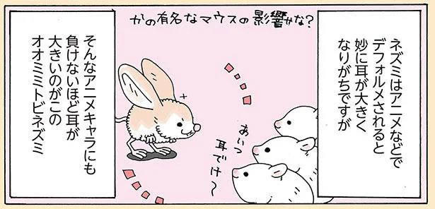アニメキャラにも負けない大きな耳がチャームポイント『オオミミトビネズミ』／かわいいマイナーアニマルずかん（11）