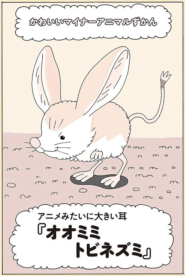 オオミミトビネズミ