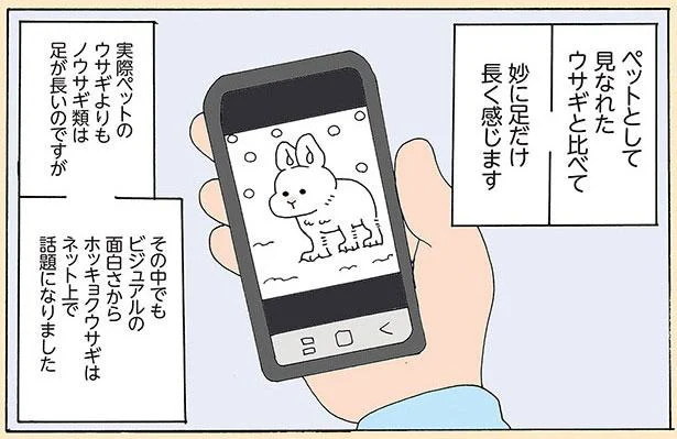 足、長くない？伏せれば大福もちさながらのまんまるフォルム『ホッキョクウサギ』／かわいいマイナーアニマルずかん（12）