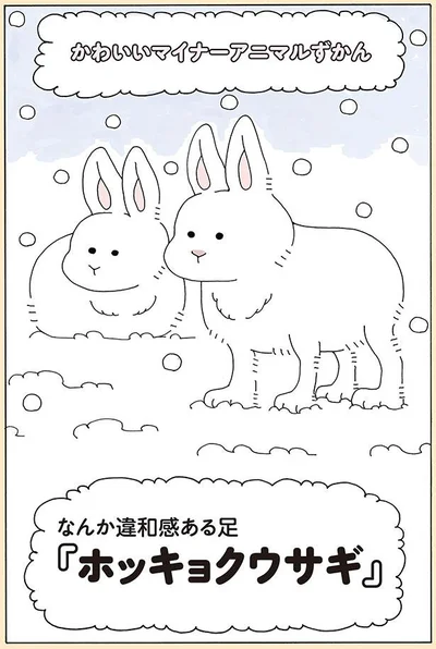 ホッキョクウサギ