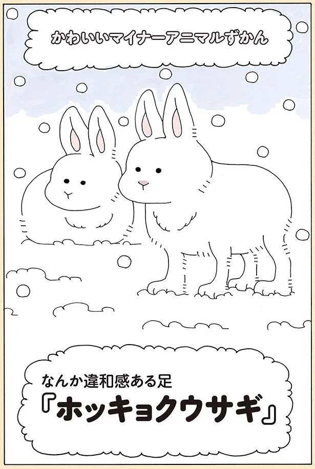 ホッキョクウサギ