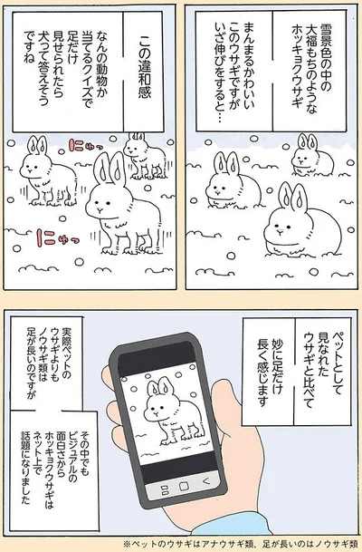 この違和感